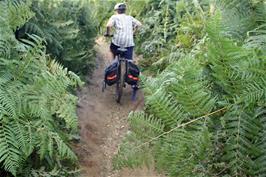 An interesting track shortcut near the hostel at Burley