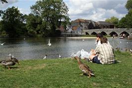 Lunch in Fordingbridge park