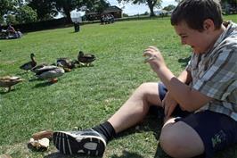 Dillan in the park at Fordingbridge