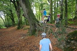 The rope swing at Woodbury Fort