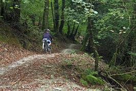 John on the Plymbridge bike trail