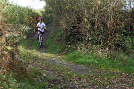 George on the Headborough Farm track near Ashburton