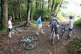 The clearing in Holne Woods