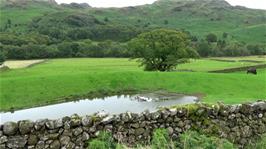 A delightful scene at Wha House Farm, Eskdale, after the very long descent from Hardknott Pass