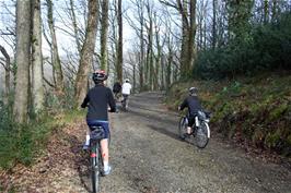 The track through Holne Woods towards River Dart Country Park