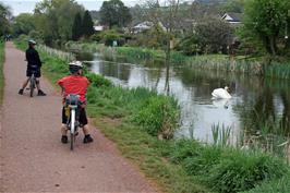 The canal in Tiverton