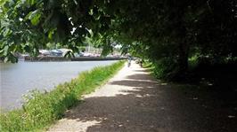 View along Totnes Longmarsh