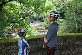 John and Will on the Island bridge, South Brent