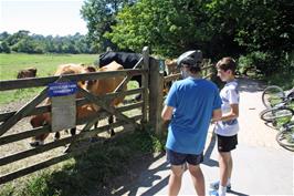 Dillan and George on the Totnes Cyclepath near Dartington