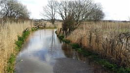 Floods between the Exminster car park and the canal path mean we have to take the road to Countess Wear