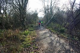 The Stover Trail continues towards Newton Abbot