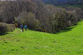 The bridleway heads towards the woodland track