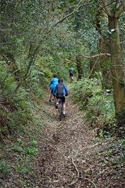 The woodland track to Lower Combe - not quite so muddy