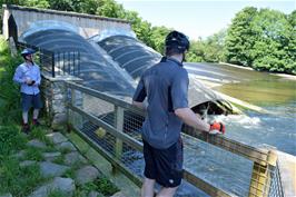 John and Tao examine the new HEP station at Totnes weir