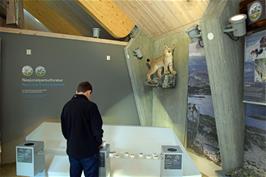 Start of the glacier exhibition in the Glacier Centre