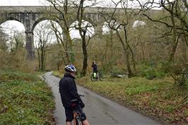 Dillan and Jude by the Treffry Viaduct near Luxulyan