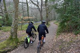 Jude and Dillan riding through Dunsford Wood from Steps Bridge, following the River Teign