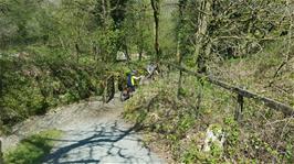 Continuing along the cycle route from the River Tavy to Mary Tavy