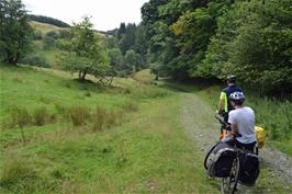 Start of the bridleway to Satterthwaite, through Grizedale Forest