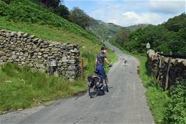 George attempts to catch a sheep on the road to High Tilberthwaite