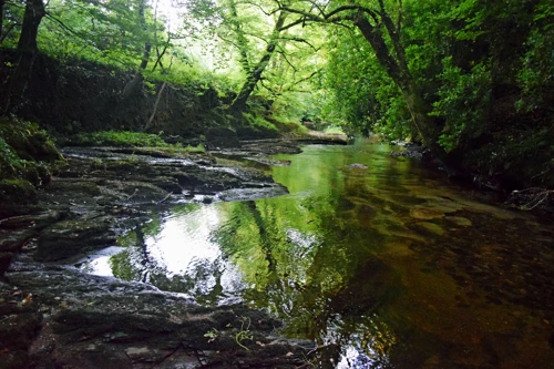 14 Jul 2017 · Avonwick
