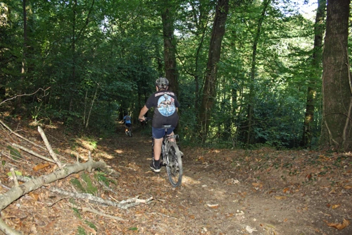 Report photo