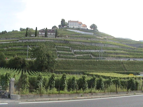 23 Aug 2002 · Switzerland: Day 6 Lausanne to Château d'Oex YH