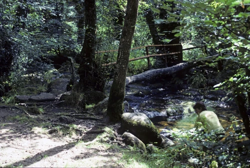 16 Aug 1987 · Nutcracker Stone