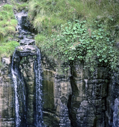 24 Aug 1987 · Dales, Pennines & Southern Scotland: Day 5 Dentdale to Keld