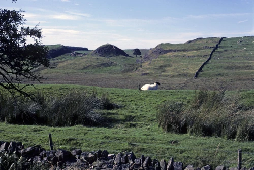 27 Aug 1987 · Dales, Pennines & Southern Scotland: Day 8 Ninebanks to Bellingham