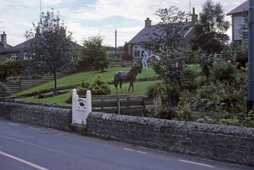 27 Aug 1987 · Dales, Pennines & Southern Scotland: Day 8 Ninebanks to Bellingham
