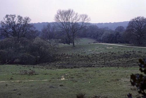 07 Apr 1988 · New Forest & Isle of Wight: Day 2 Cranborne to Burley