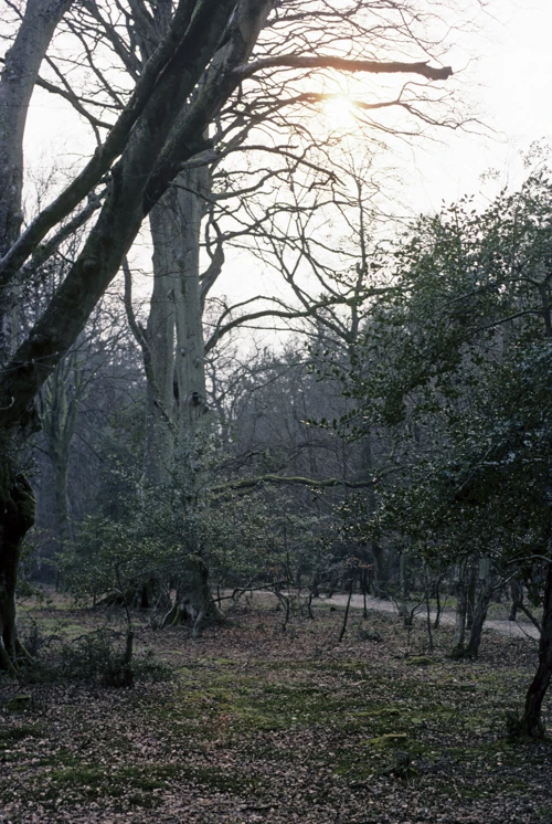 07 Apr 1988 · New Forest & Isle of Wight: Day 2 Cranborne to Burley
