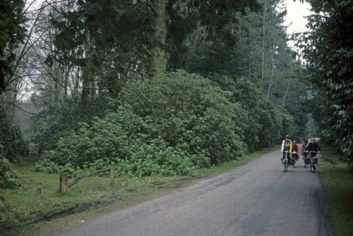 07 Apr 1988 · New Forest & Isle of Wight: Day 2 Cranborne to Burley