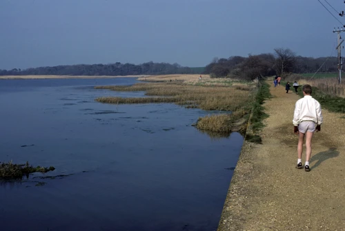 08 Apr 1988 · New Forest & Isle of Wight: Day 3 Burley to Totland Bay