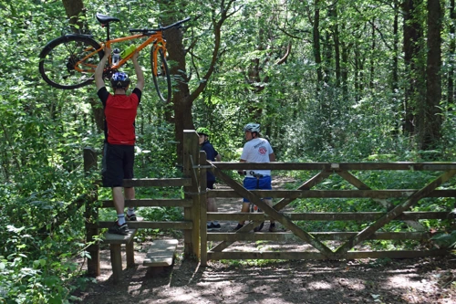15 Jul 2018 · Hembury Woods