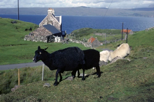25 Aug 1988 · Scotland: Day 8 Applecross to Torridon