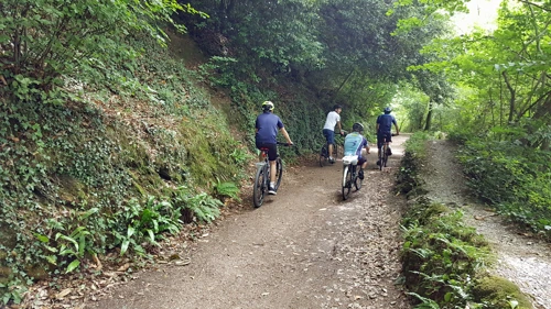 19 Aug 2018 · Totnes