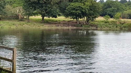 19 Aug 2018 · Totnes