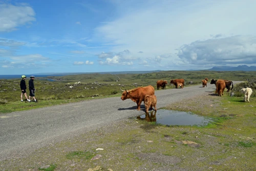 24 Jul 2018 · Scotland: Day 6: Applecross to Torridon YH