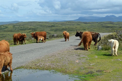 24 Jul 2018 · Scotland: Day 6: Applecross to Torridon YH
