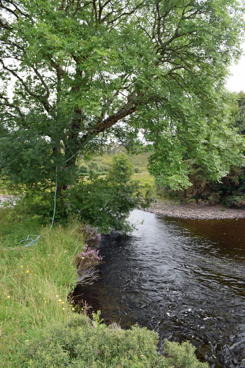 25 Jul 2018 · Scotland: Day 7: Torridon to Gairloch B&B
