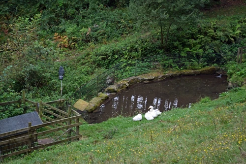 16 Sep 2018 · Widecombe-in-the-Moor