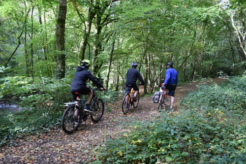 07 Oct 2018 · Loddiswell / Avon Railway