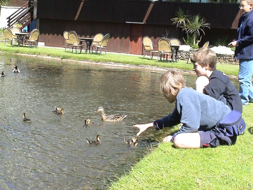 23 May 2004 · Salcombe: Day 2