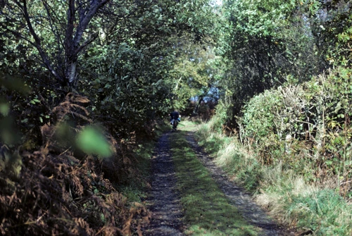 09 Oct 1988 · Fingle Bridge