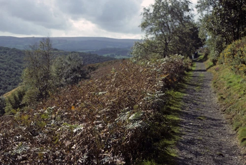 09 Oct 1988 · Fingle Bridge