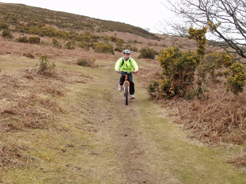 13 Mar 2005 · Dartmeet