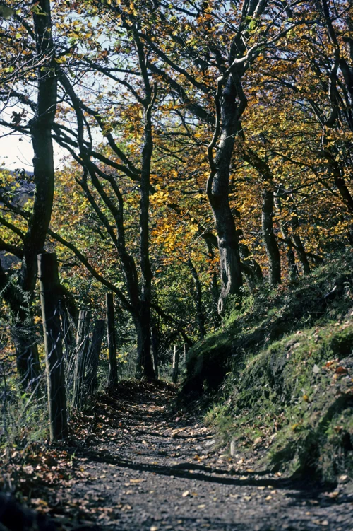 13 Nov 1988 · Grimspound