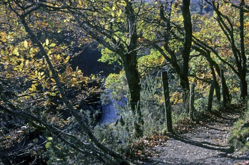 13 Nov 1988 · Grimspound